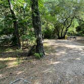 Review photo of First Landing State Park Campground by Sonyia W., June 13, 2022