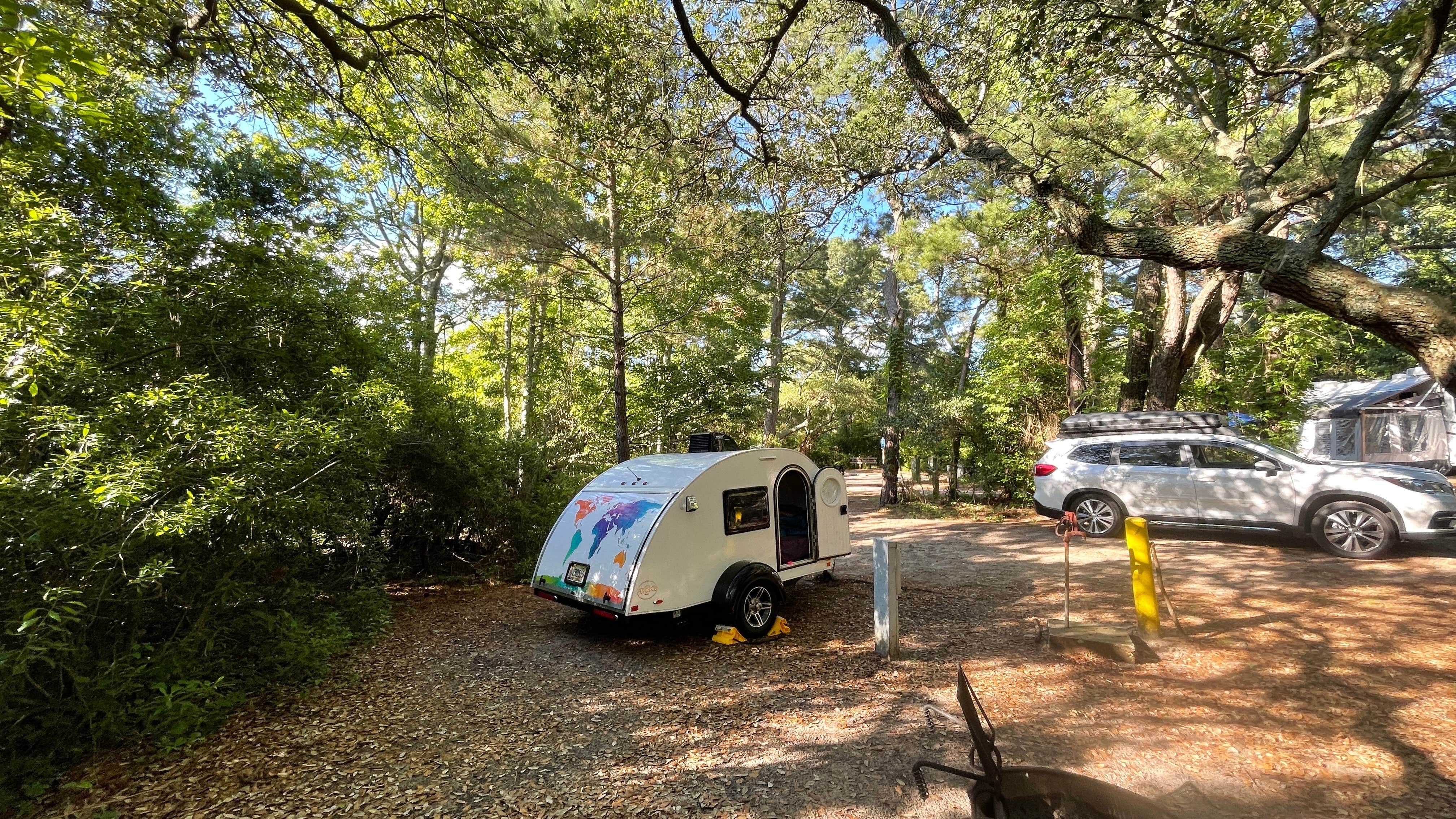 Sonyia W.'s photo at First Landing State Park Campground near Greenwood, VA