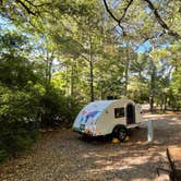 Review photo of First Landing State Park Campground by Sonyia W., June 13, 2022