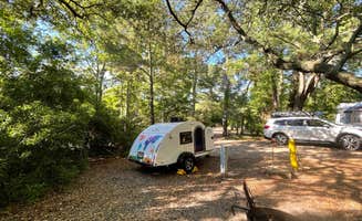 Sonyia W.'s photo at First Landing State Park Campground near Greenwood, VA