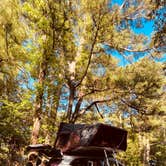 Review photo of First Landing State Park Campground by Sonyia W., June 13, 2022