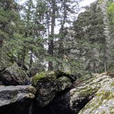 Review photo of Sylvan Lake Campground — Custer State Park by J. T., July 15, 2018