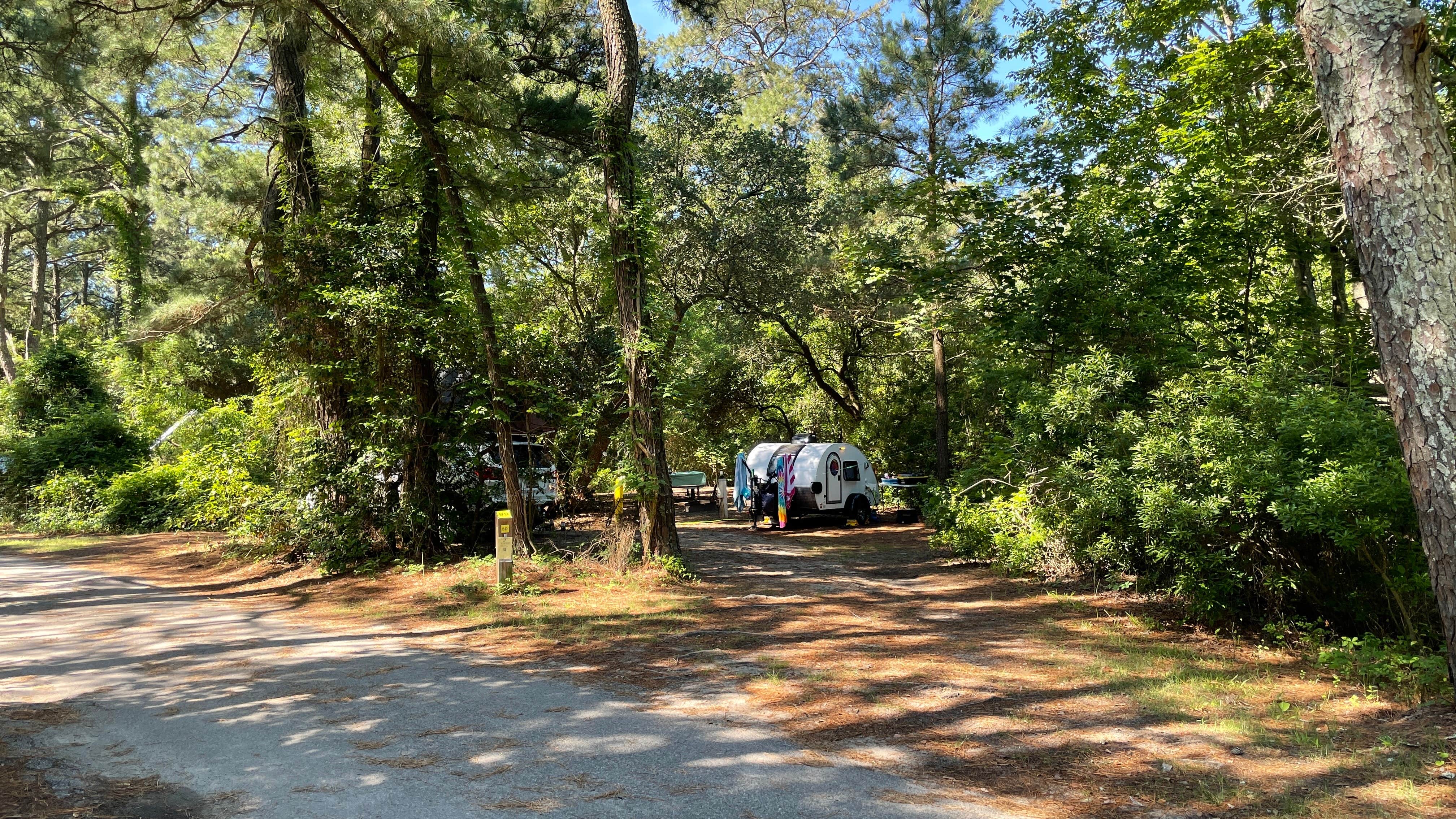 Sonyia W.'s photo at First Landing State Park Campground near Chesapeake, VA