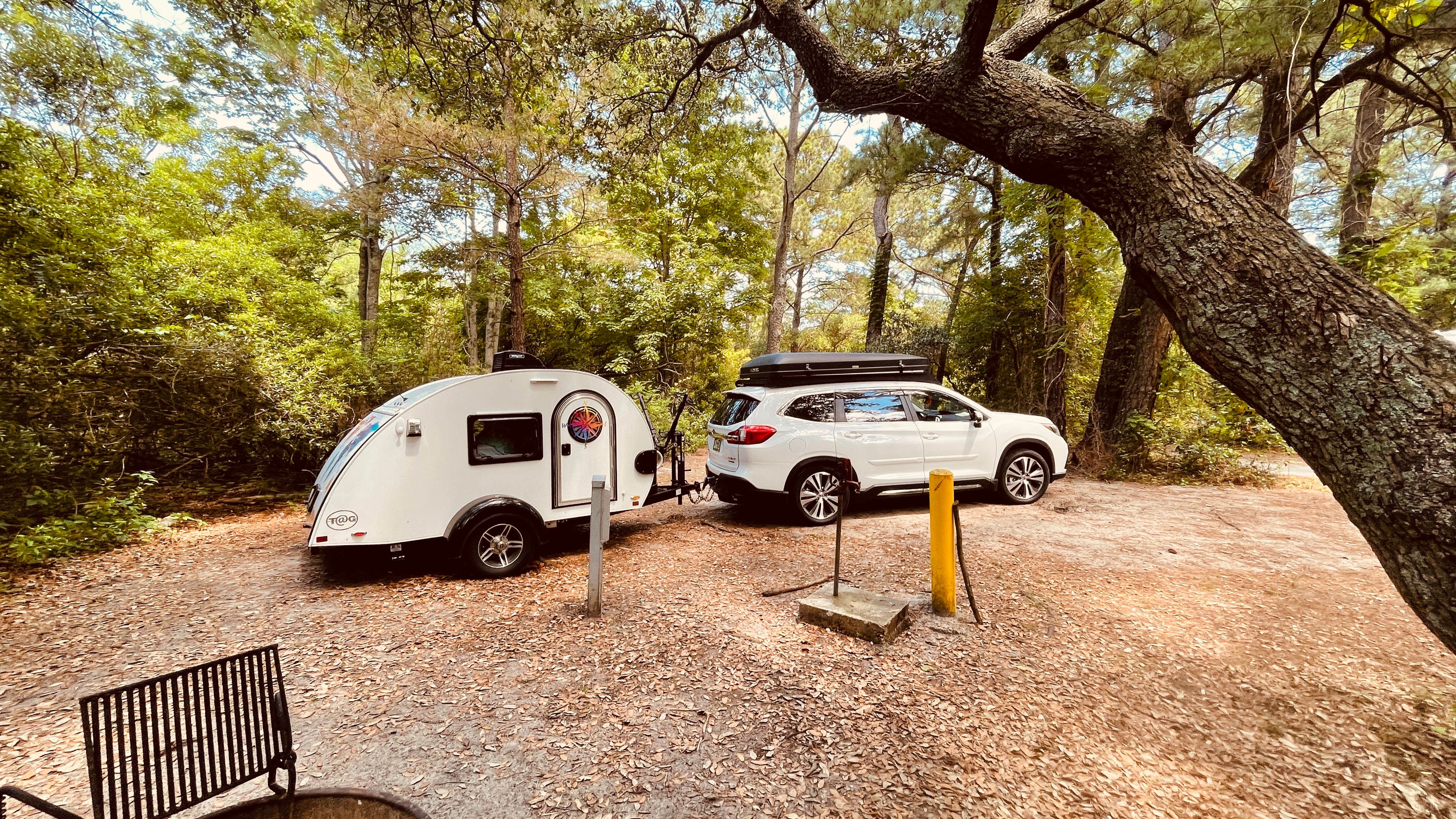 Sonyia W.'s photo at First Landing State Park Campground near Norfolk, VA