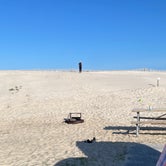 Review photo of Assateague State Park Campground by Sonyia W., June 13, 2022
