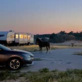 Review photo of Assateague State Park Campground by Sonyia W., June 13, 2022