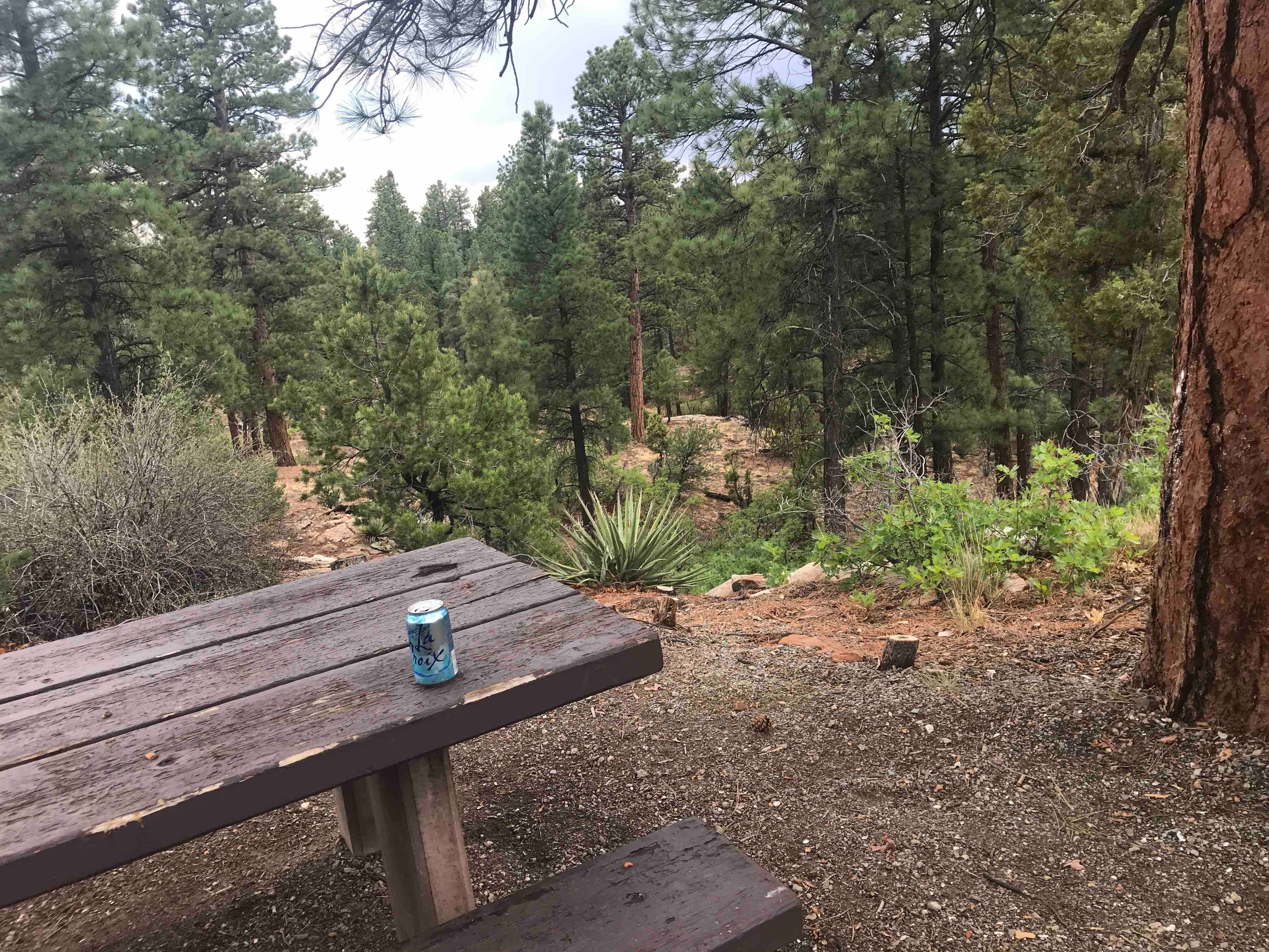 Camper submitted image from Devils Canyon Campground - 4