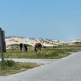 Review photo of Assateague State Park Campground by Sonyia W., June 13, 2022