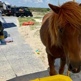 Review photo of Assateague State Park Campground by Sonyia W., June 13, 2022