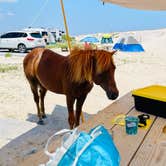 Review photo of Assateague State Park Campground by Sonyia W., June 13, 2022