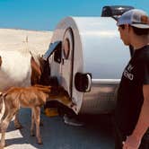 Review photo of Assateague State Park Campground by Sonyia W., June 13, 2022