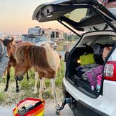 Review photo of Assateague State Park Campground by Sonyia W., June 13, 2022