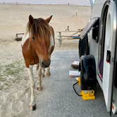 Review photo of Assateague State Park Campground by Sonyia W., June 13, 2022