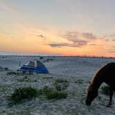 Review photo of Assateague State Park Campground by Sonyia W., June 13, 2022