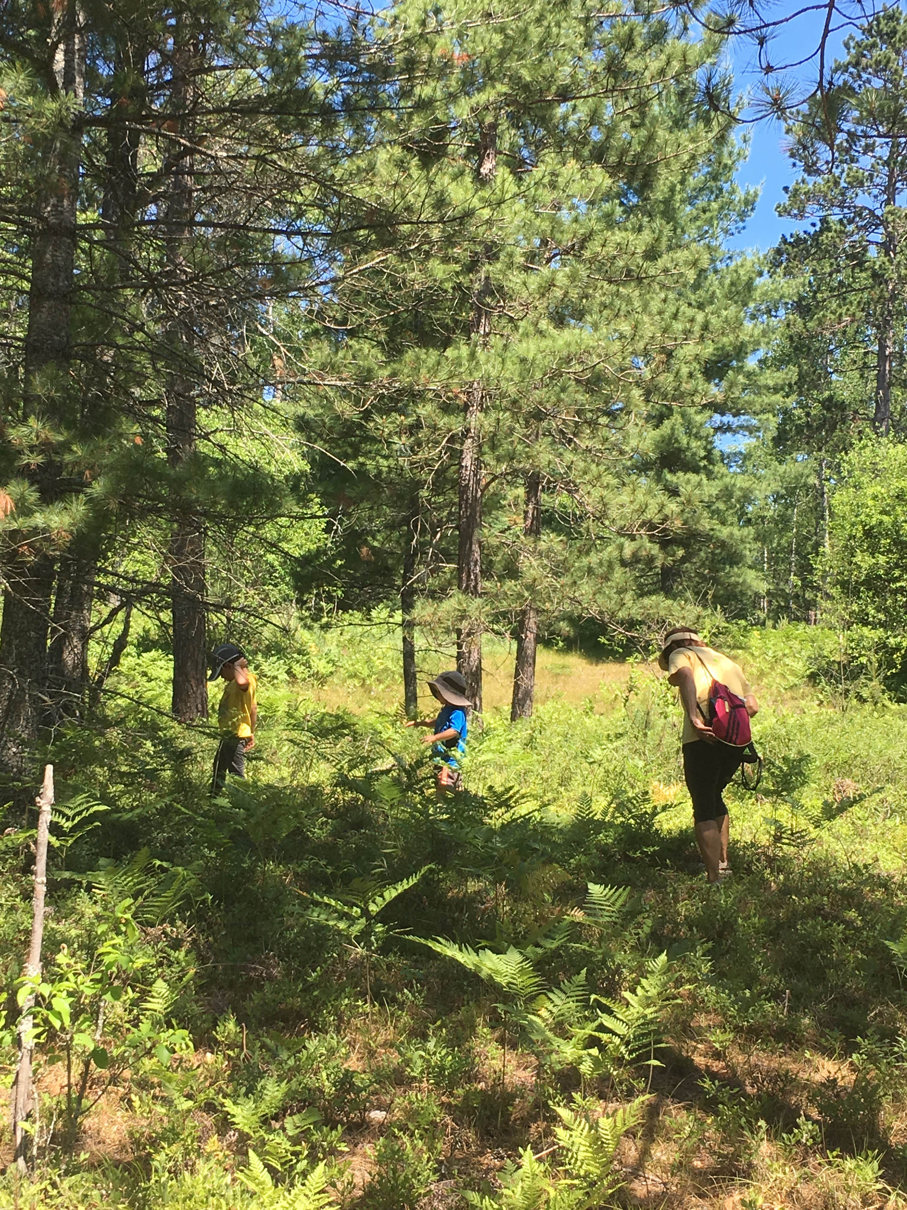 Camper submitted image from Rainbow Bend State Forest Campground & Canoe Camp - 1