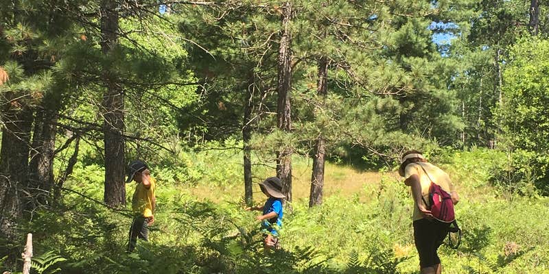 Camper submitted image from Rainbow Bend State Forest Campground & Canoe Camp