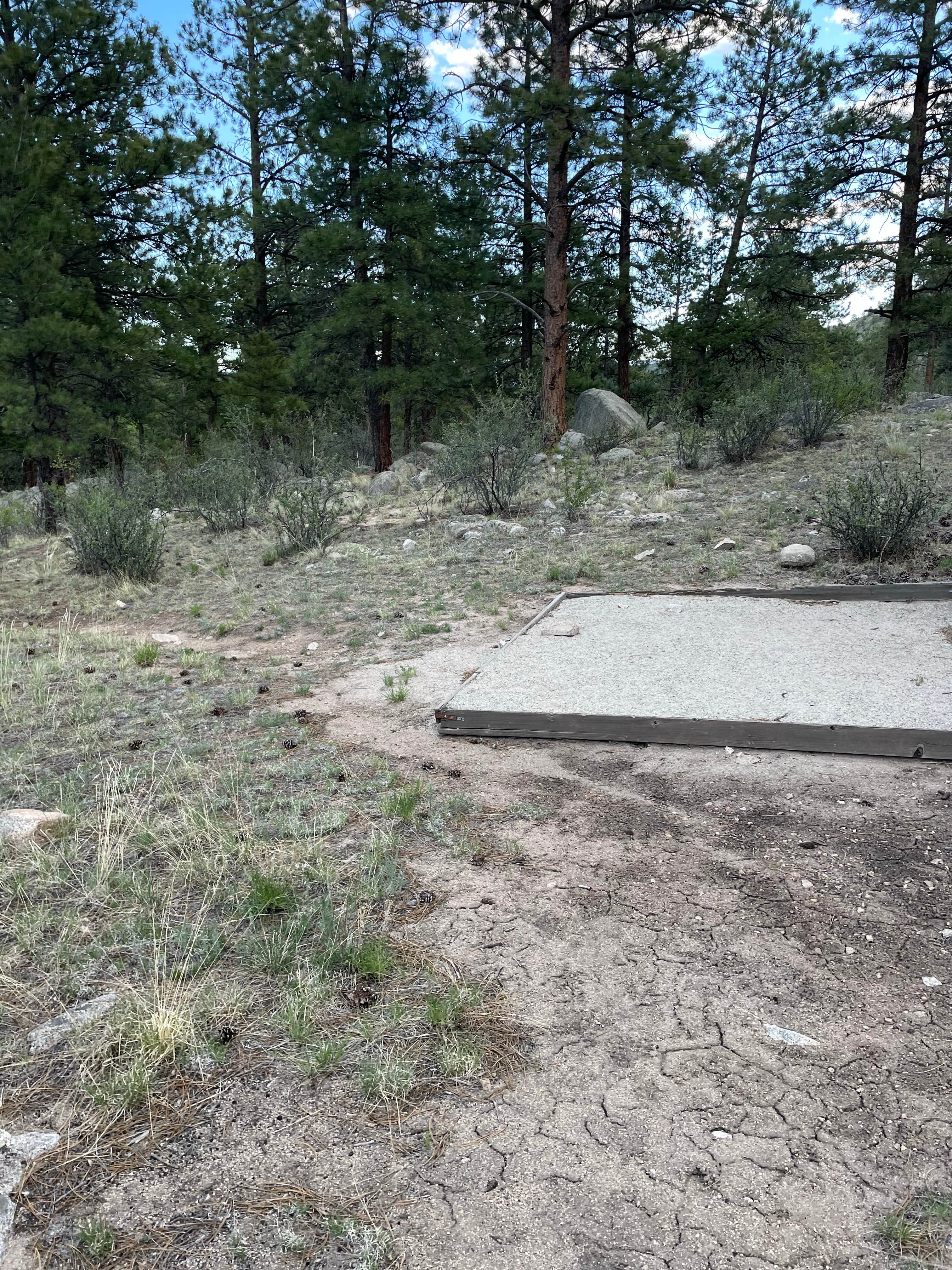 Camper-submitted photo at Bootleg Campground - Temporarily Closed near Buena Vista, CO