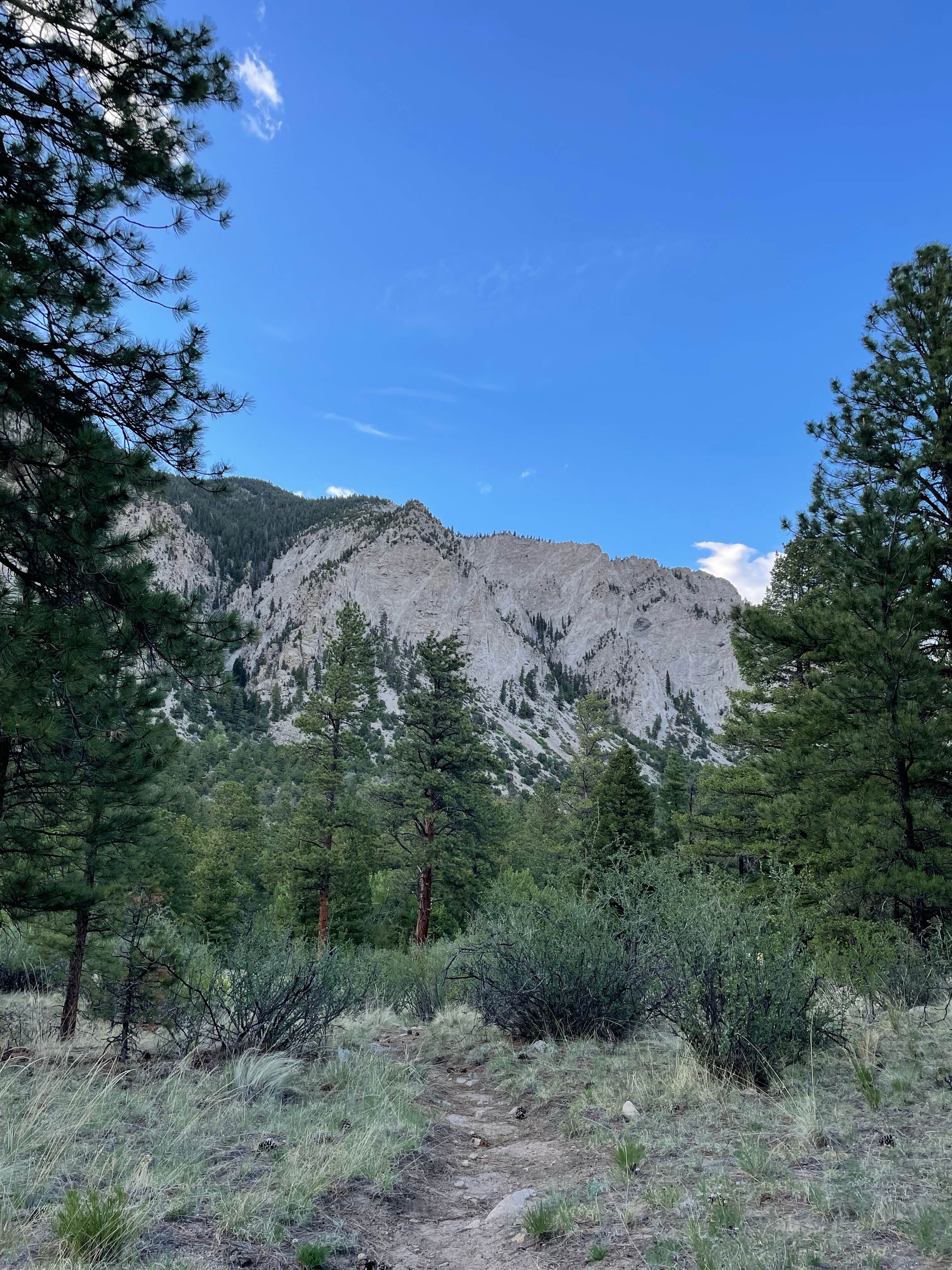 Camper-submitted photo at Bootleg Campground - Temporarily Closed near Monarch, CO