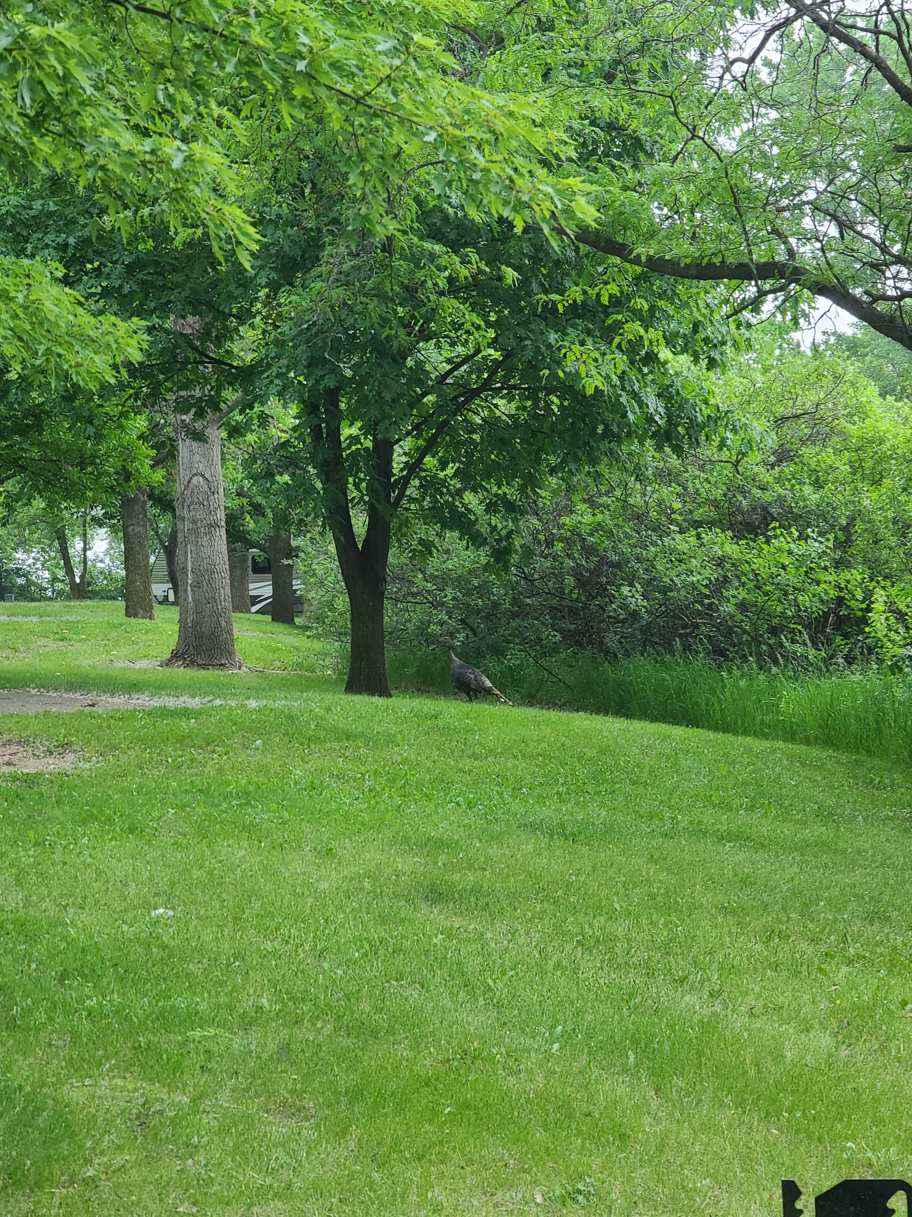 Camper-submitted photo at Willow Creek State Recreation Area Campground near Norfolk, NE