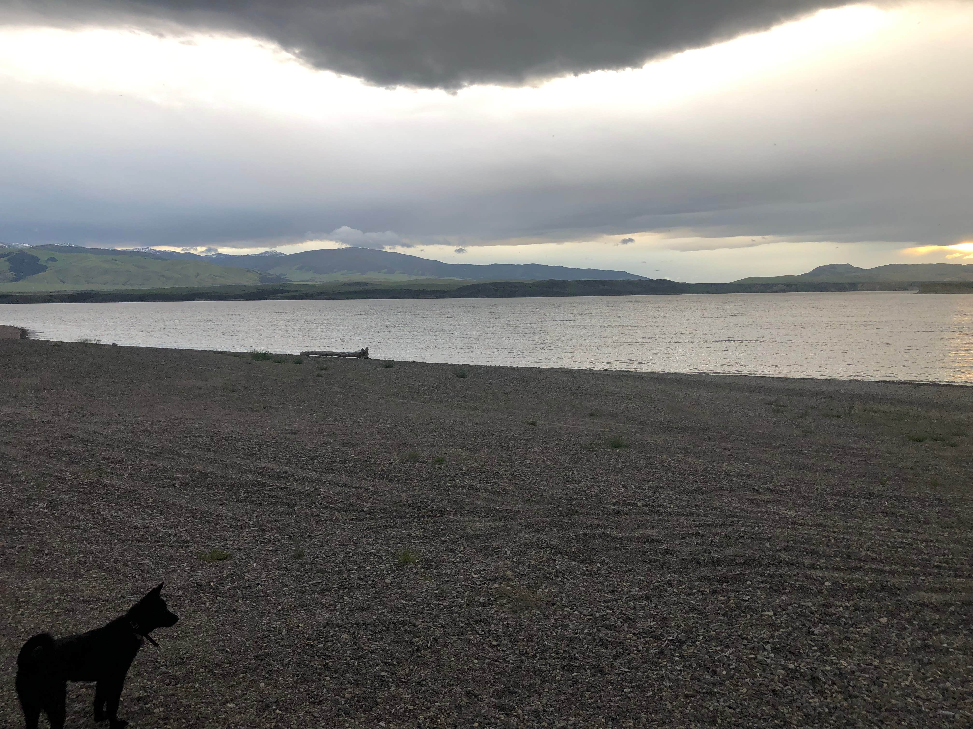 Devon's photo of camping with pets at Confederate Campground near Helena, MT