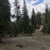 Review photo of Upper Soda Springs Campground - CLOSED by Erin M., July 16, 2018