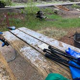 Review photo of Barry's Landing & Trail Creek Campground — Bighorn Canyon National Recreation Area by Jackson M., June 13, 2022