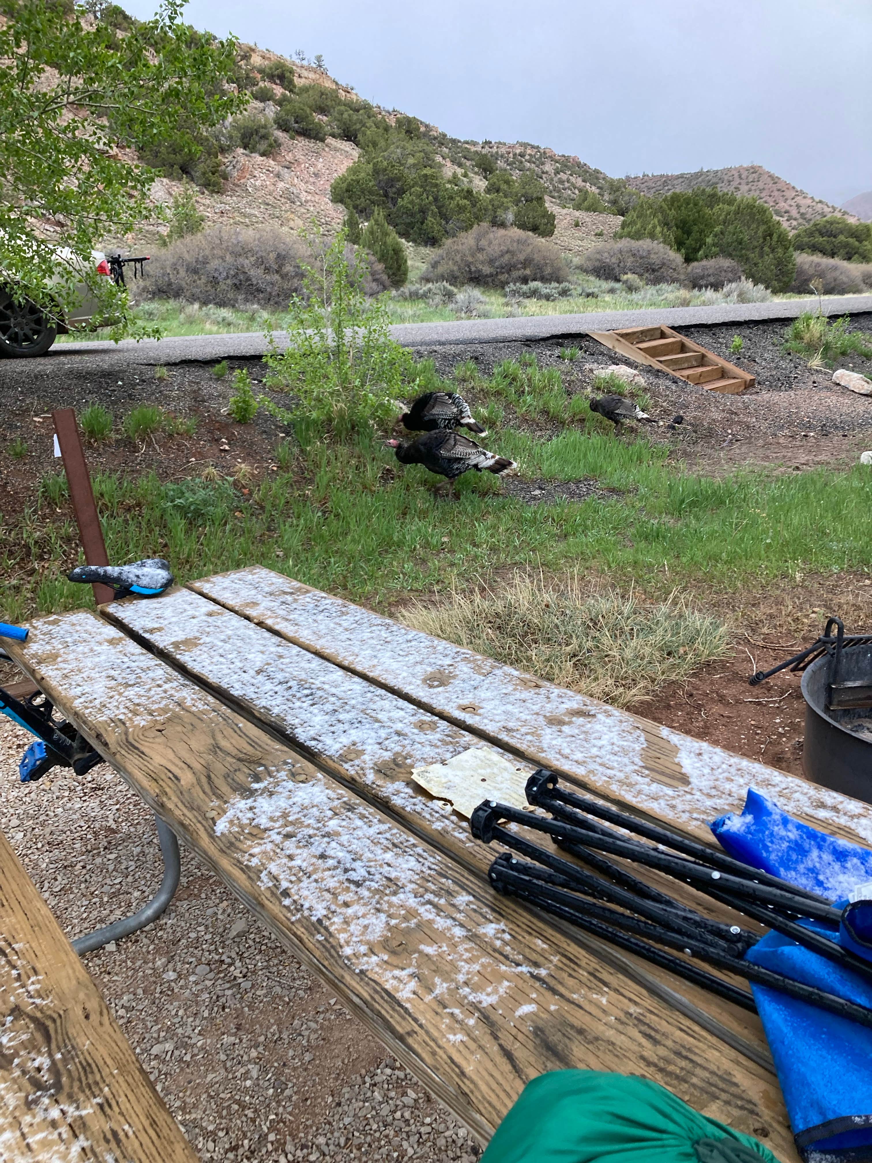 Camper submitted image from Barry's Landing & Trail Creek Campground — Bighorn Canyon National Recreation Area - 3