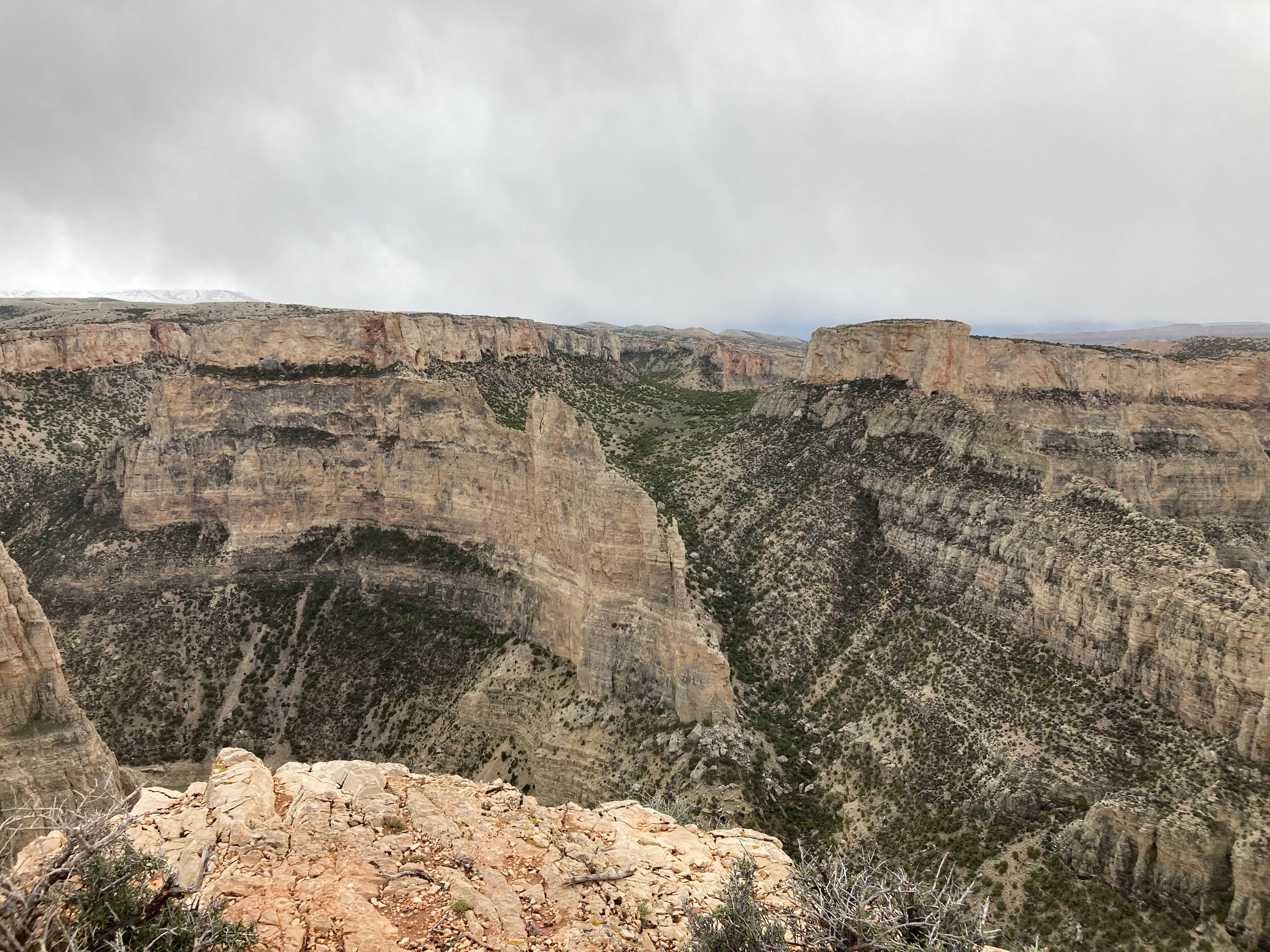 Camper-submitted photo at Barry's Landing & Trail Creek Campground — Bighorn Canyon National Recreation Area near Frannie, WY