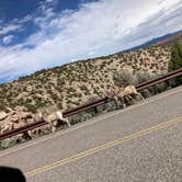 Review photo of Barry's Landing & Trail Creek Campground — Bighorn Canyon National Recreation Area by Jackson M., June 13, 2022