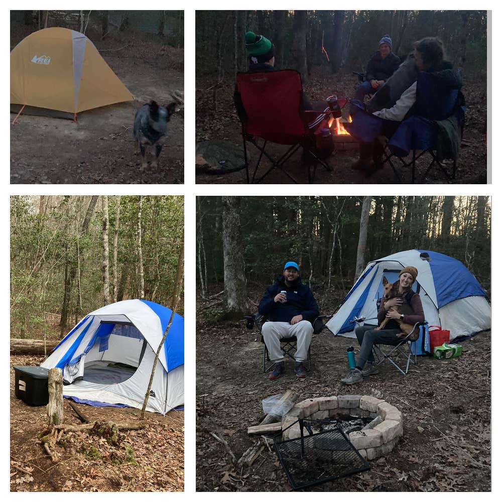 Robert T.'s photo of camping with pets at Greeter Falls Campground near Pocahontas, TN