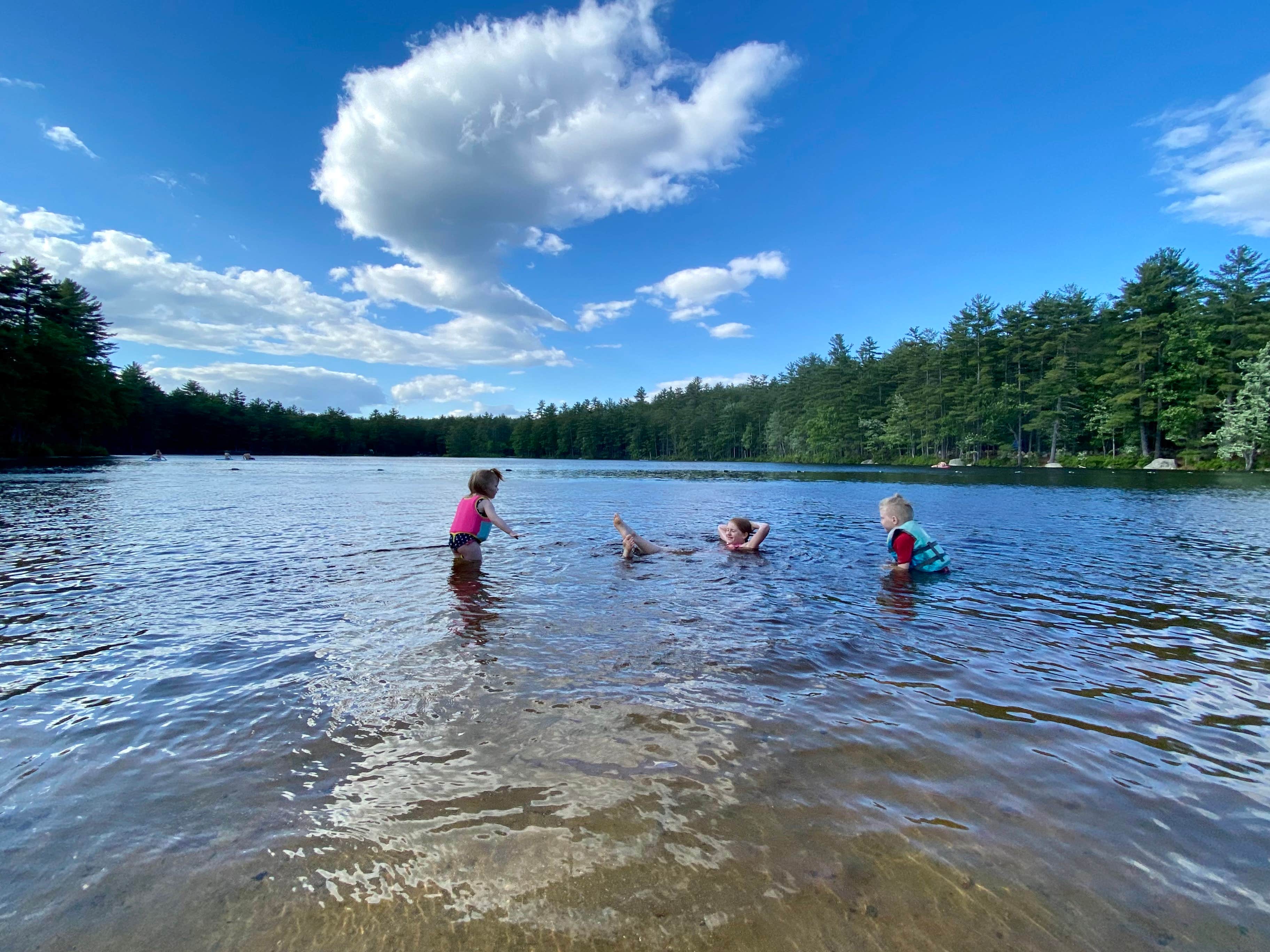 Camper submitted image from Acres of wildlife Family - 4