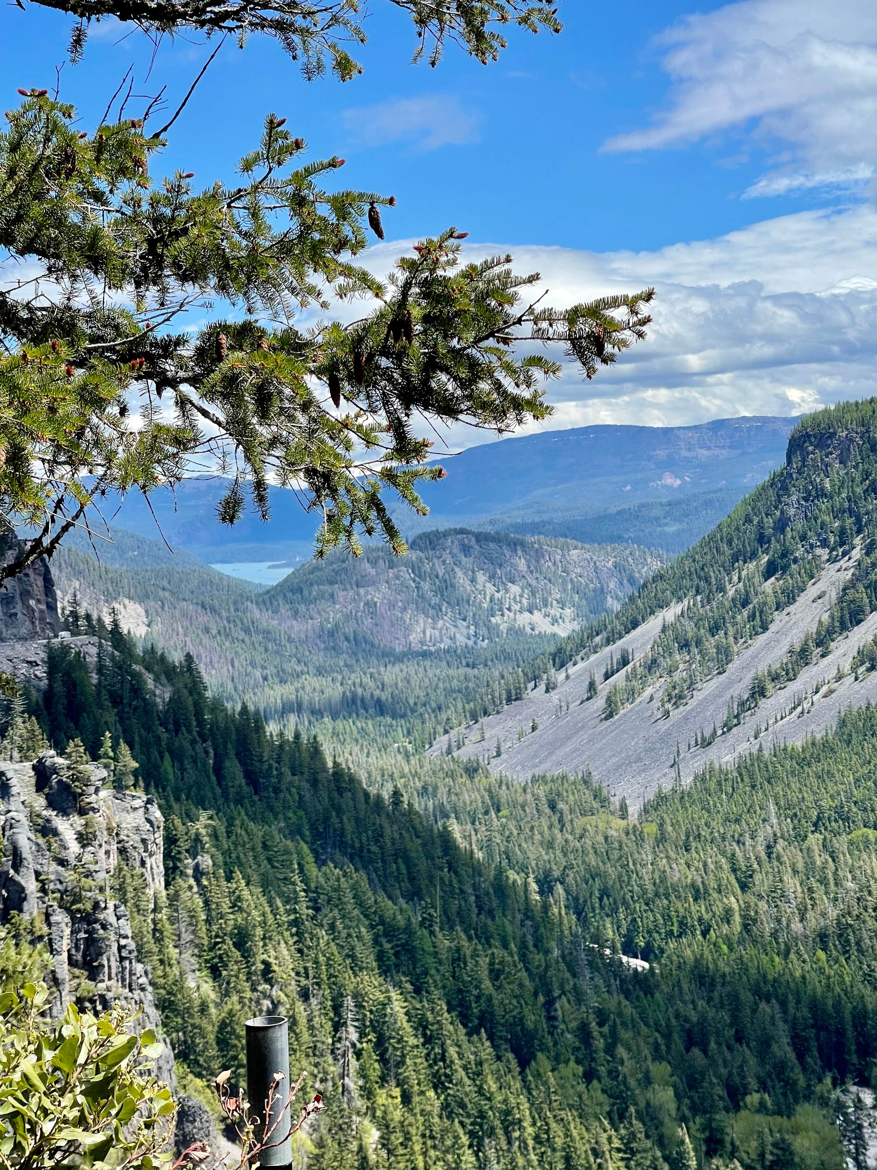 Camper-submitted photo at Rimrock Lake Resort near White Pass, WA