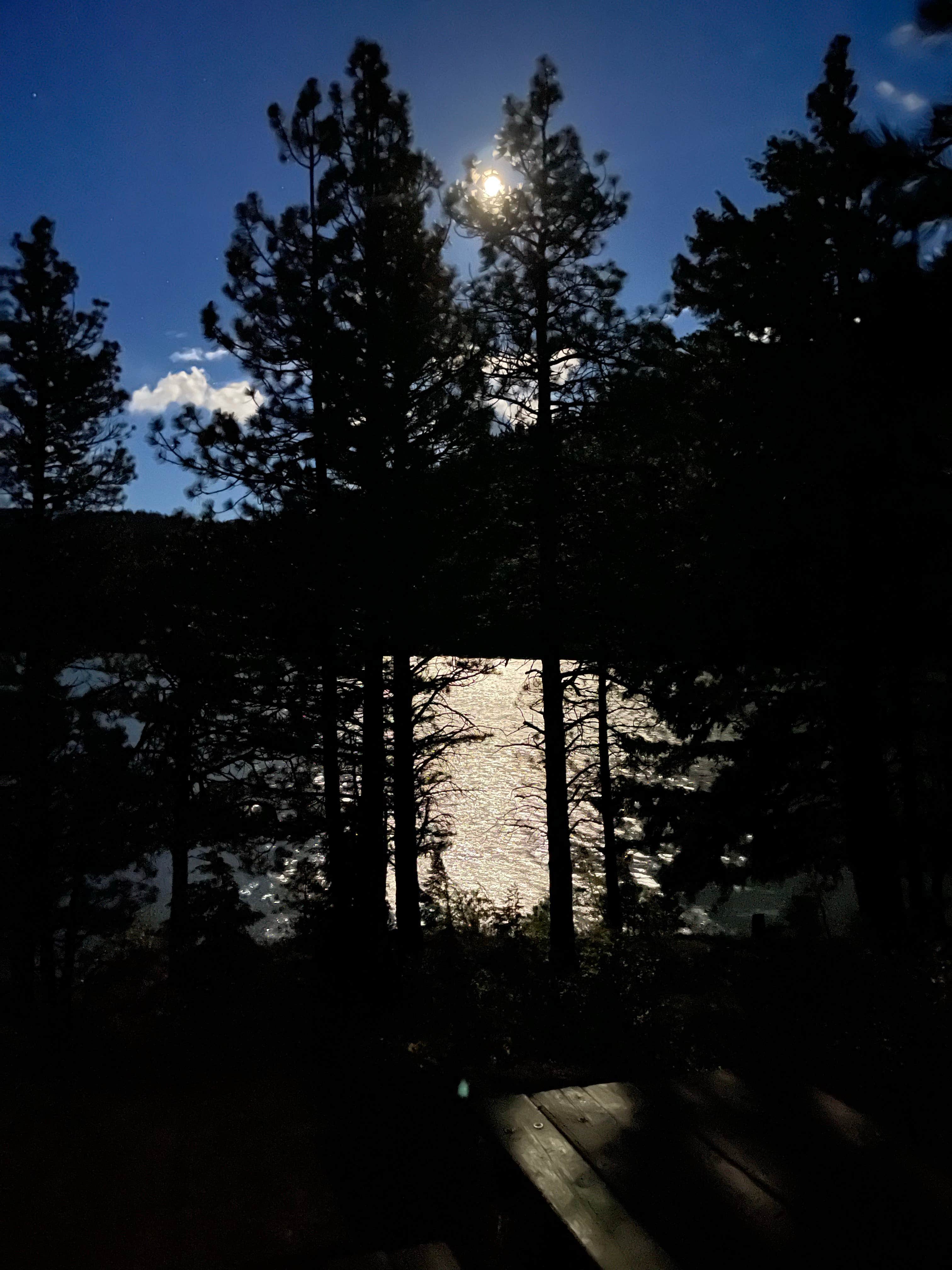 Camper-submitted photo at Rimrock Lake Resort near White Pass, WA