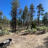 Review photo of Horse Flats Campground by Luissimo M., June 13, 2022