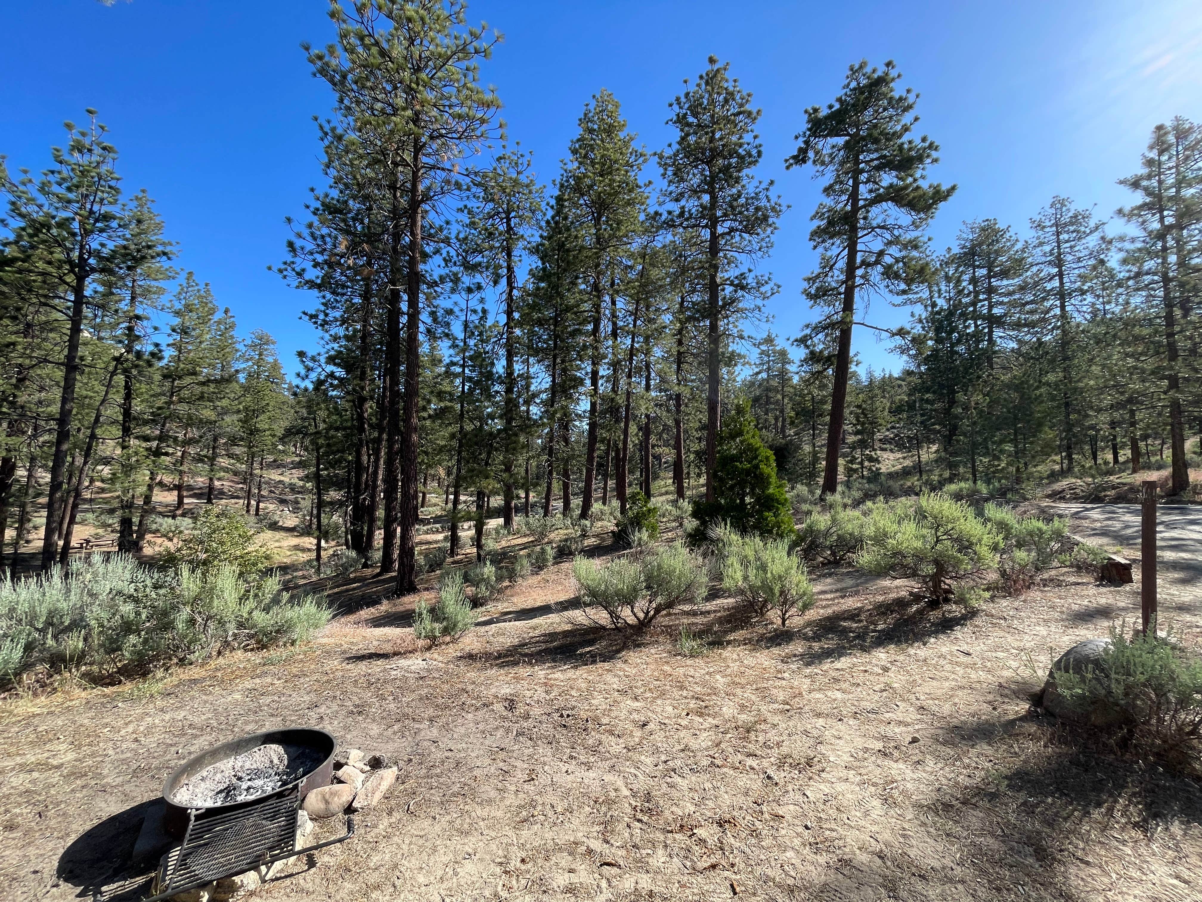 Camper submitted image from Horse Flats Campground - 4