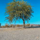 Review photo of Lake Havasu State Park Campground by Jordan H., June 13, 2022