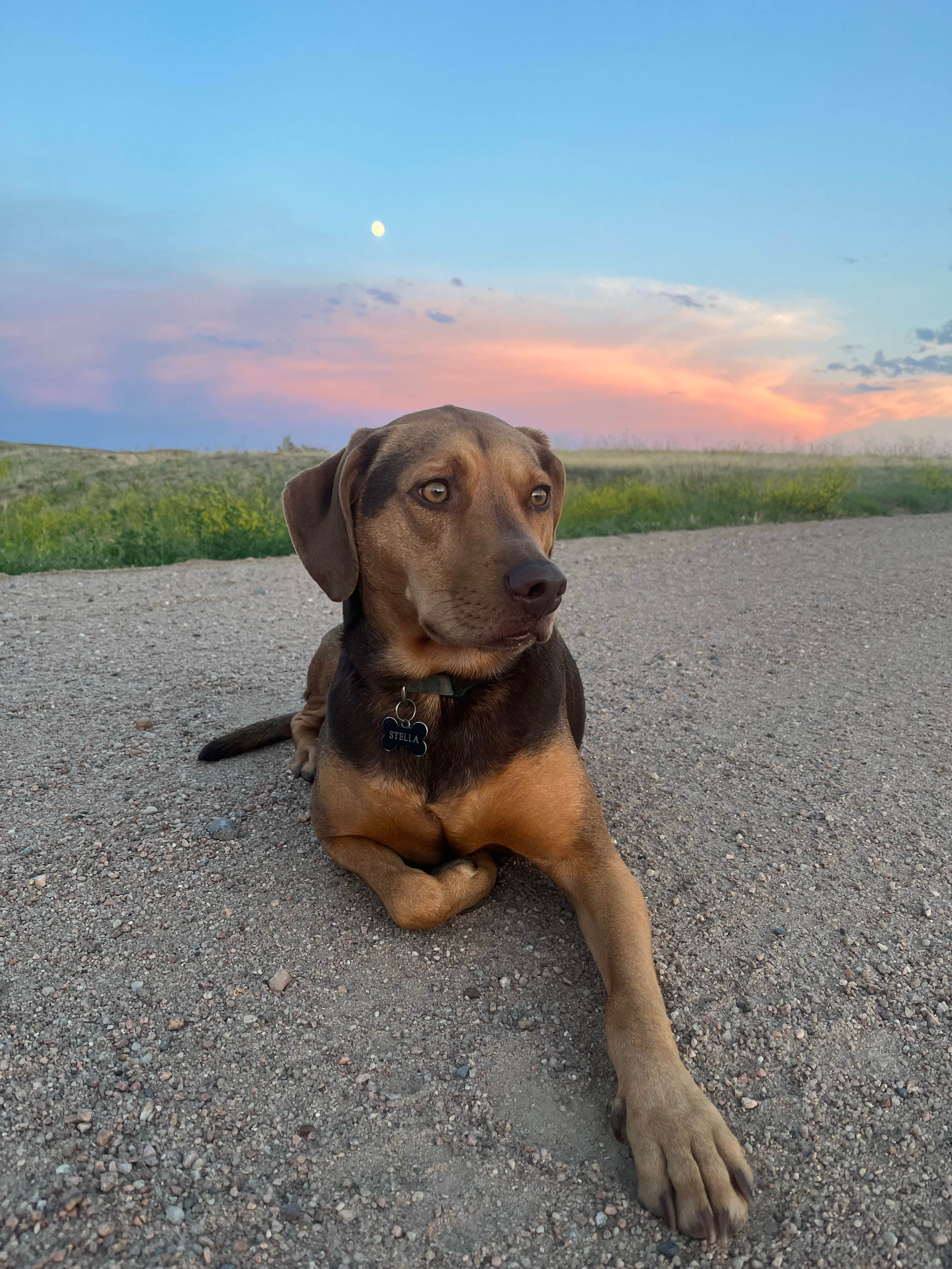 katie's photo of camping with pets at Flagler Reservoir State Wildlife Area Campground - LICENSED HUNTERS ONLY near Hugo, CO