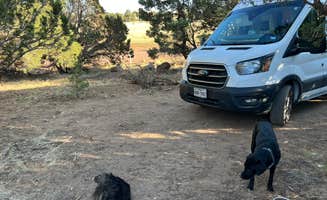 Cyndee F.'s photo of camping with pets at Walnut Canyon Rd Dispersed Camping - CLOSED UNTIL 2025 near Flagstaff, AZ