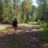 Review photo of Scenic State Park Campground by ali J., July 16, 2018