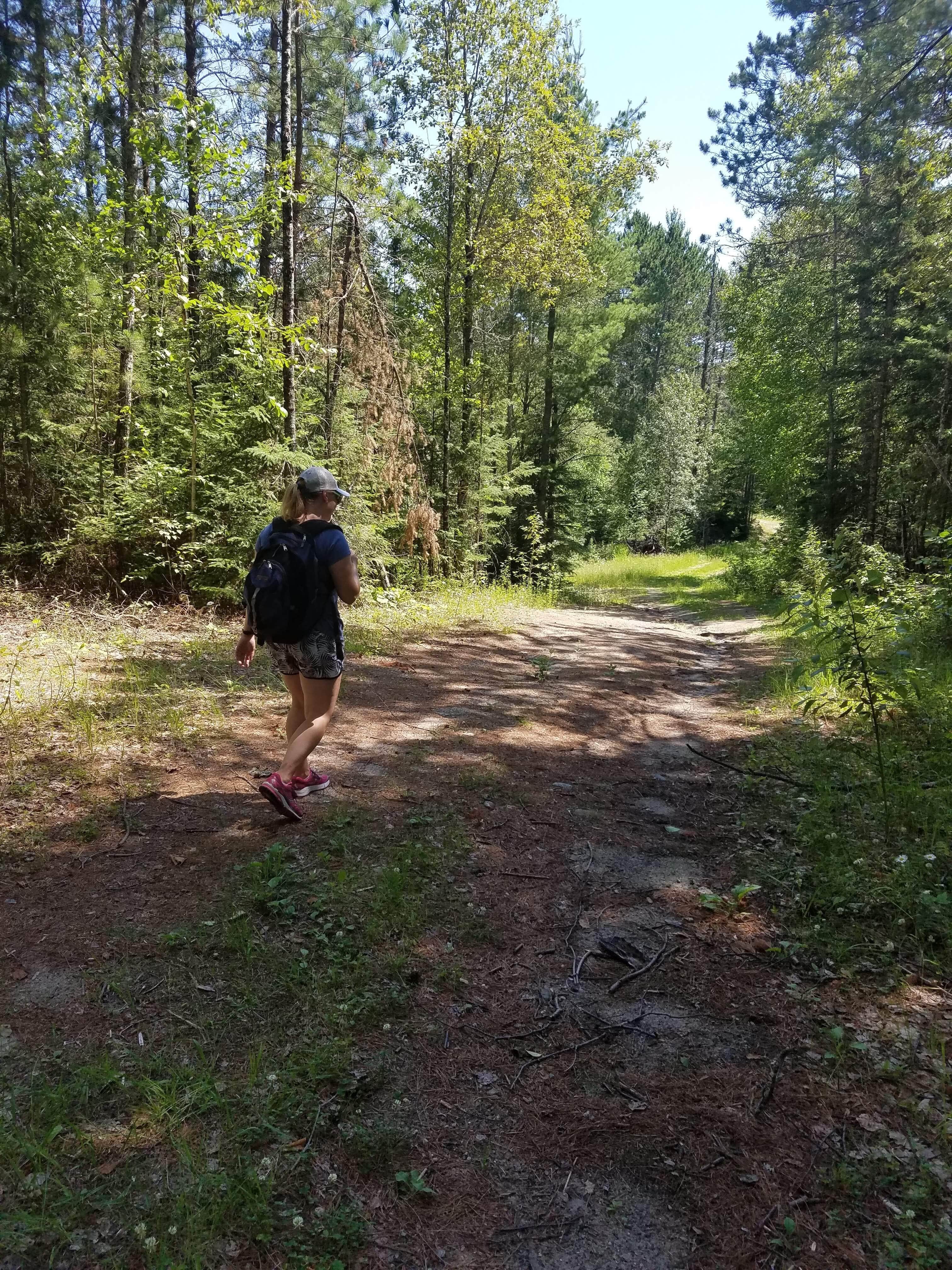 Camper submitted image from Scenic State Park Campground - 3