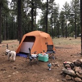 Review photo of Pumphouse Wash (FR 237) Dispersed Camping Area by Sara , June 13, 2022