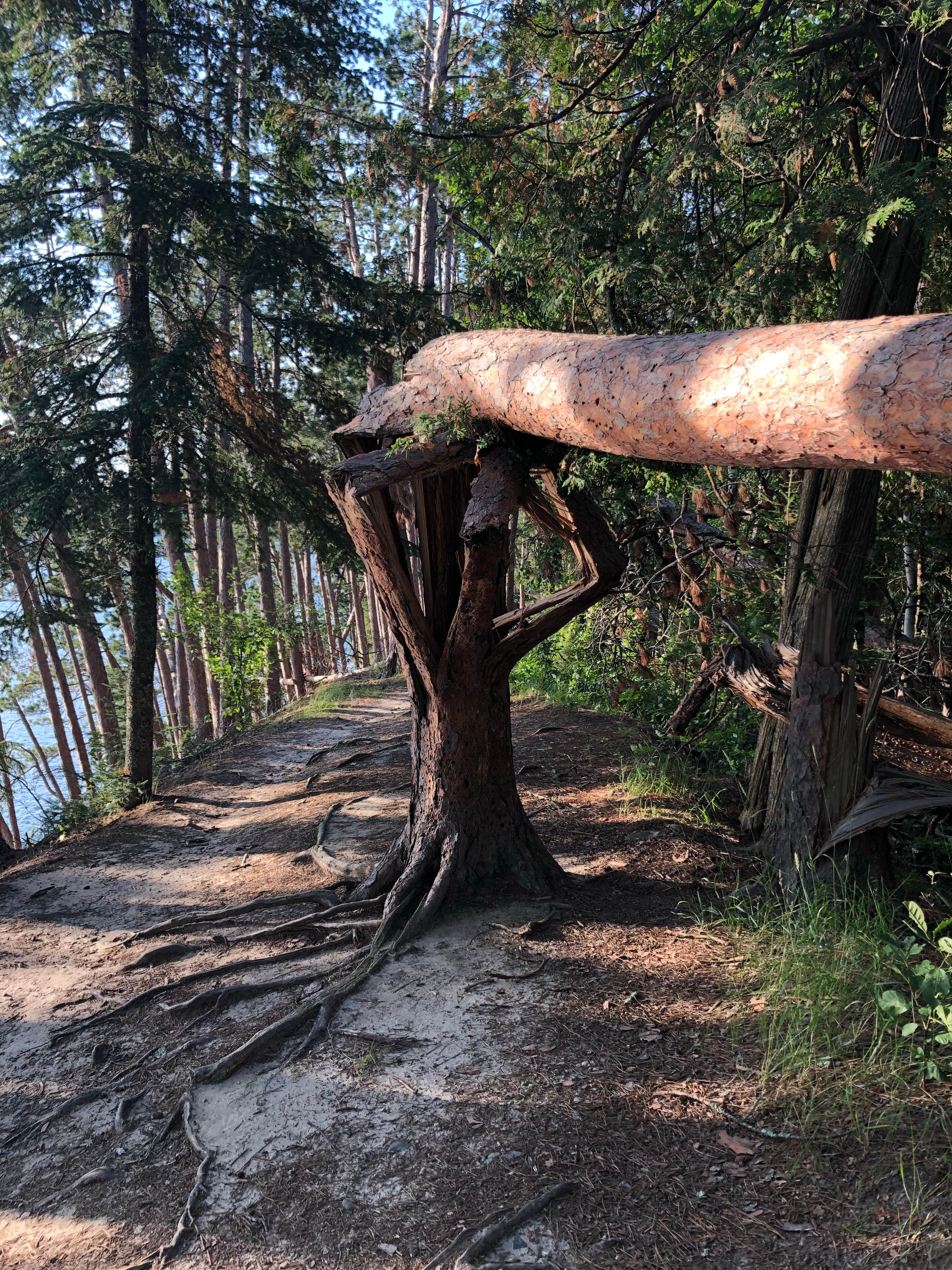 Camper-submitted photo at The Lodge Campground — Scenic State Park near Wirt, MN