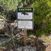 Review photo of Tomoka State Park Campground by Jeff A., June 13, 2022