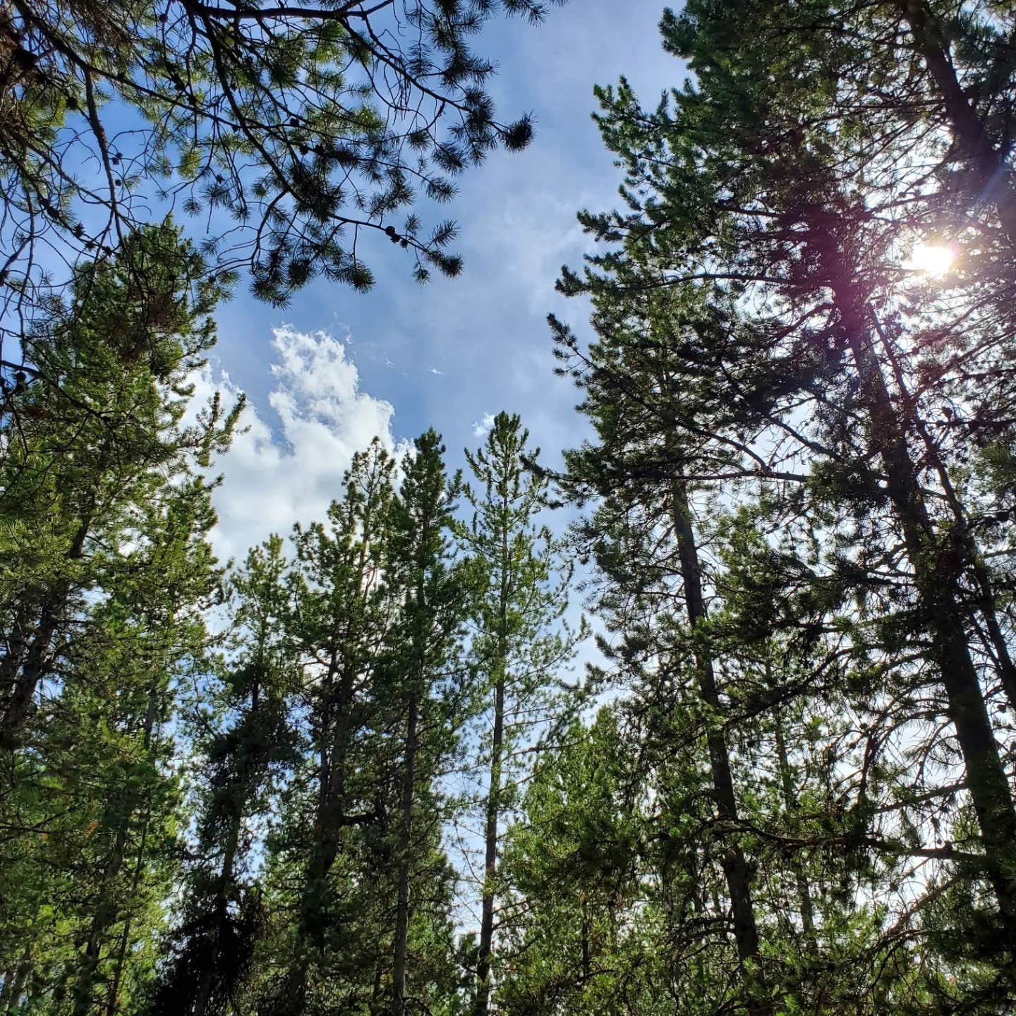 Camper-submitted photo at Winfield City Lake near Augusta, KS