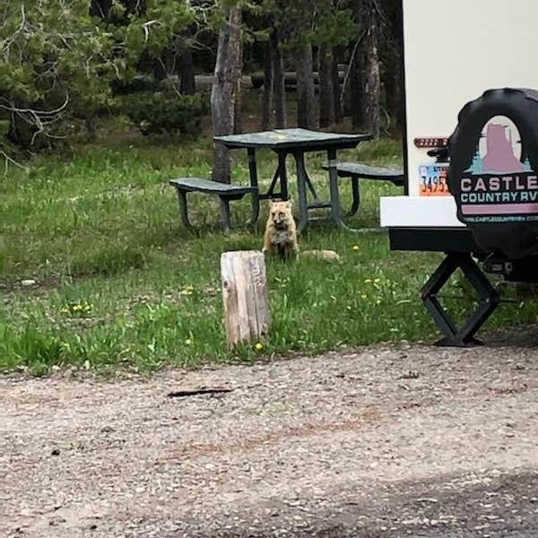 Camper-submitted photo at Winfield City Lake near Augusta, KS