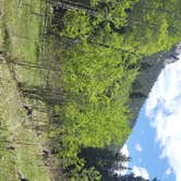 Review photo of Deer Creek Campground — Golden Gate Canyon by Callan , June 13, 2022