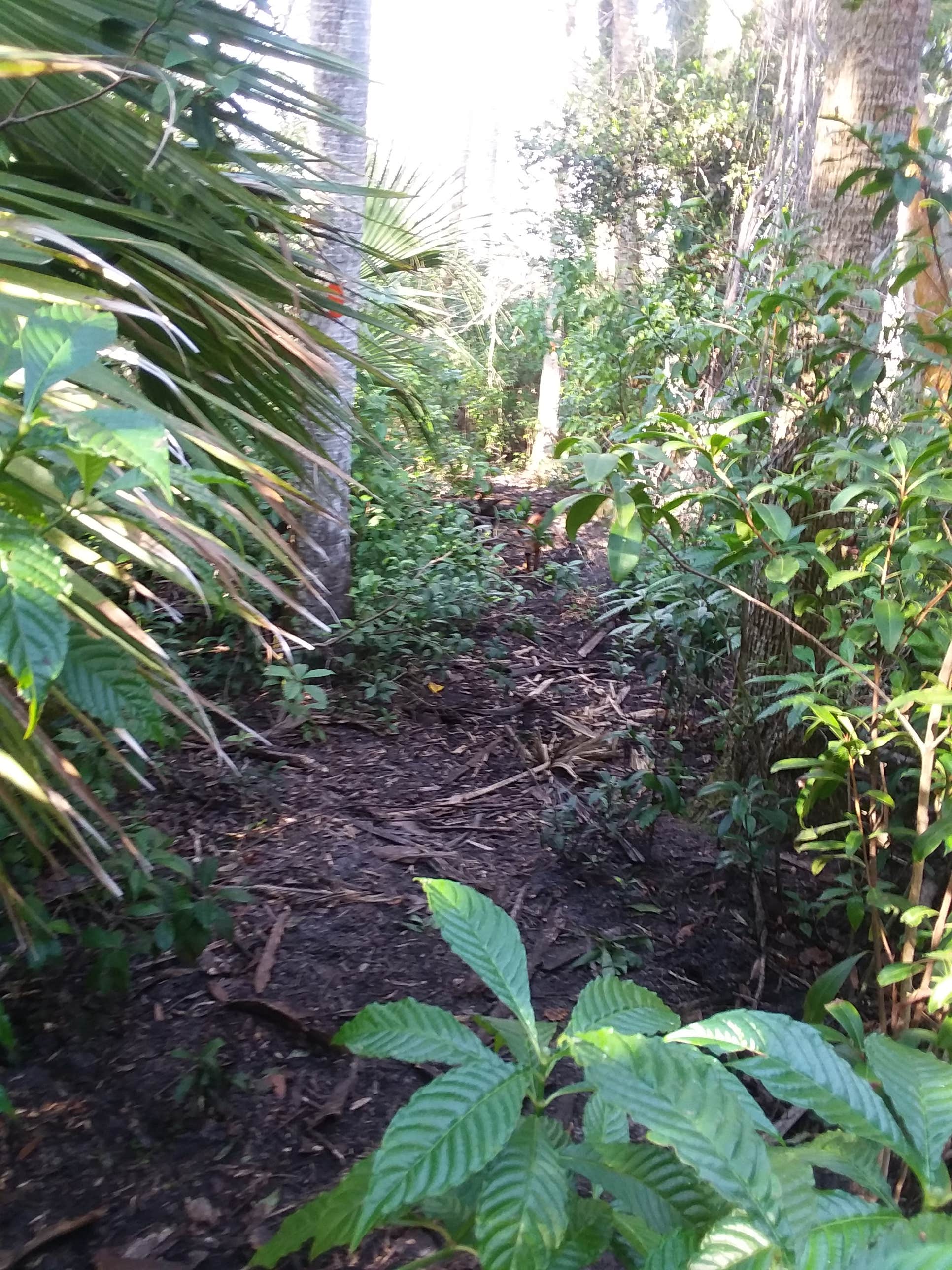 Camper-submitted photo at Lucky Hammock near Pompano Beach, FL