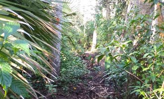 Camping near Jupiter Farms Nursery Quail Trail in The Bird Roads: Lucky Hammock, Palm Beach Gardens, Florida