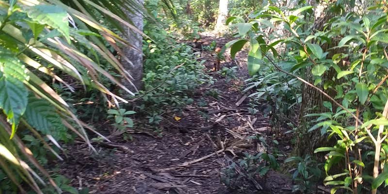 Camper submitted image from Lucky Hammock