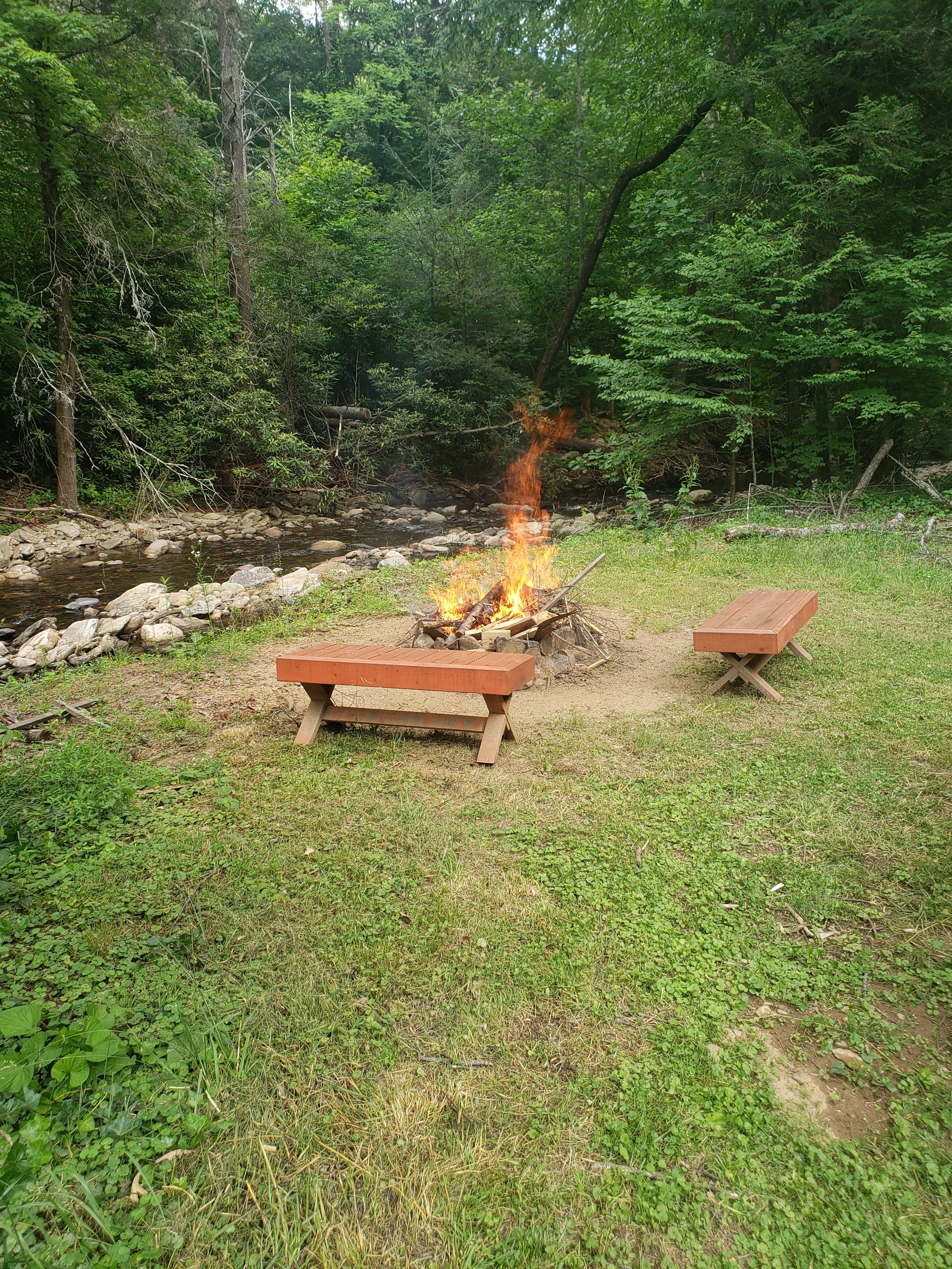 Camper submitted image from Howell in the Holler - 5